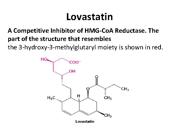 Lovastatin A Competitive Inhibitor of HMG-Co. A Reductase. The part of the structure that