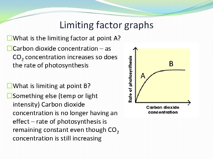 Limiting factor graphs �What is the limiting factor at point A? �Carbon dioxide concentration
