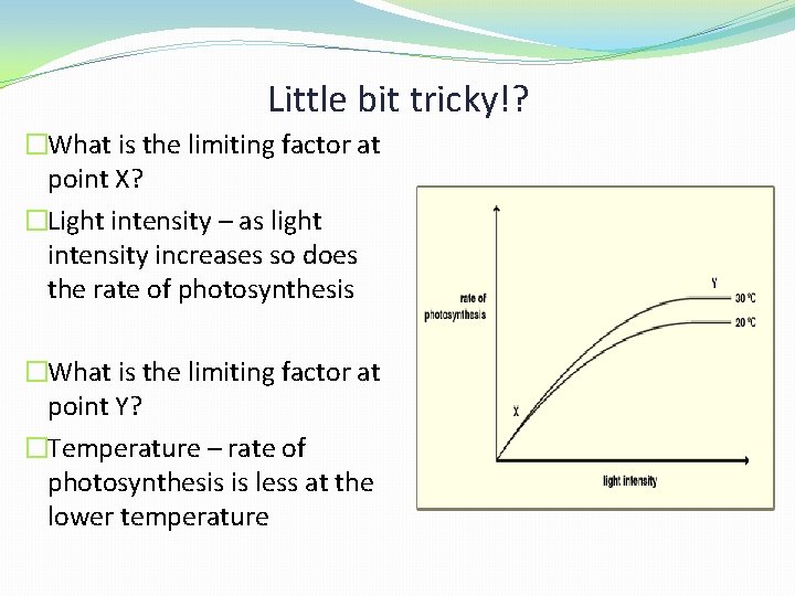 Little bit tricky!? �What is the limiting factor at point X? �Light intensity –