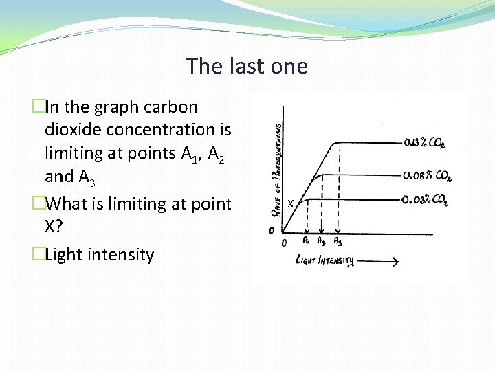 The last one �In the graph carbon dioxide concentration is limiting at points A