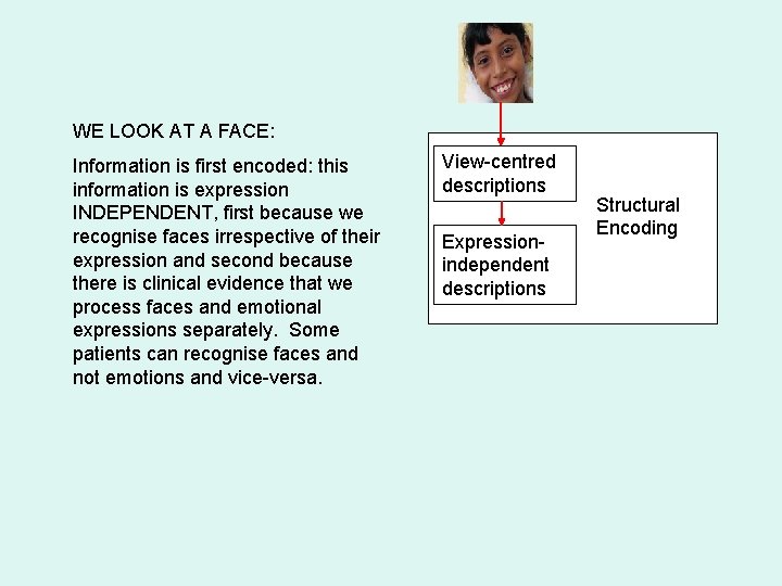 WE LOOK AT A FACE: Information is first encoded: this information is expression INDEPENDENT,
