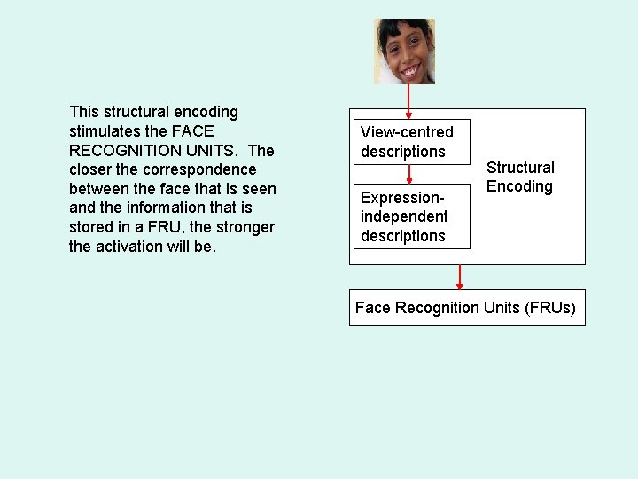 This structural encoding stimulates the FACE RECOGNITION UNITS. The closer the correspondence between the