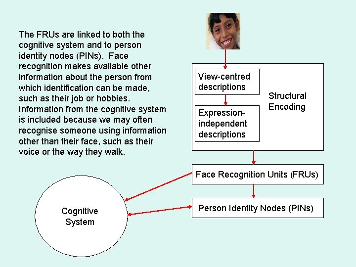 The FRUs are linked to both the cognitive system and to person identity nodes