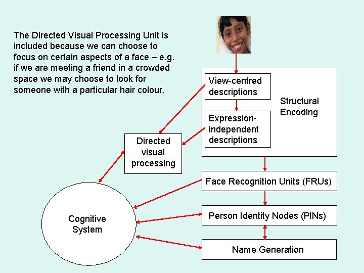 The Directed Visual Processing Unit is included because we can choose to focus on