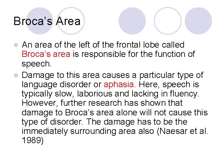 Broca’s Area An area of the left of the frontal lobe called Broca’s area