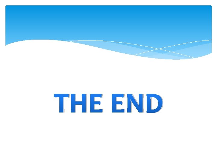 THE END 