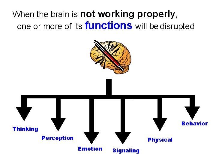 When the brain is not working properly, one or more of its functions will