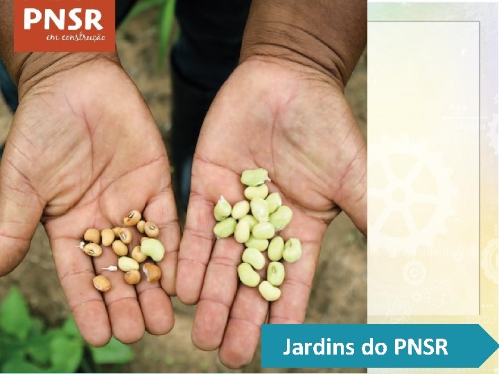 Jardins do PNSR 