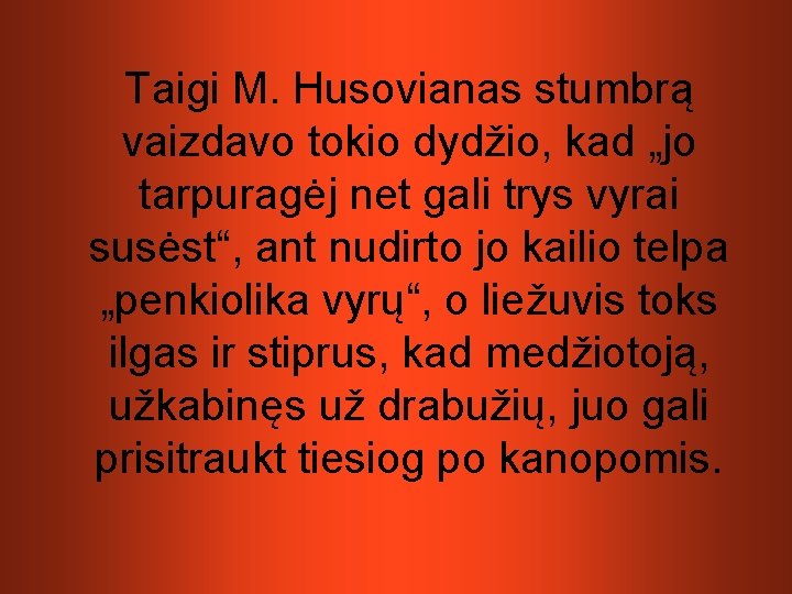 Taigi M. Husovianas stumbrą vaizdavo tokio dydžio, kad „jo tarpuragėj net gali trys vyrai