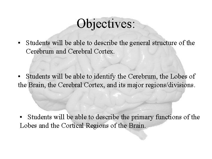 Objectives: • Students will be able to describe the general structure of the Cerebrum
