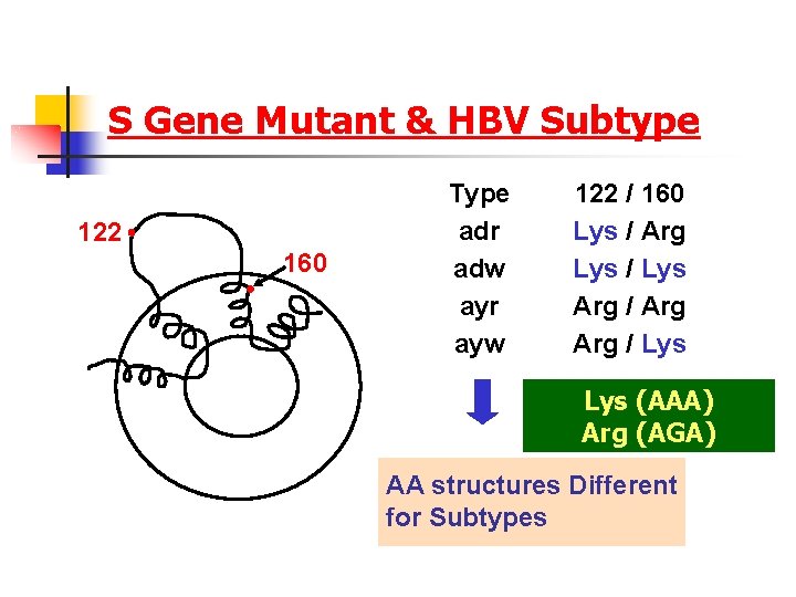 S Gene Mutant & HBV Subtype 122 160 Type adr adw ayr ayw 122