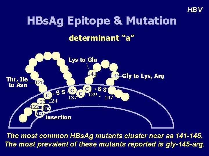 HBs. Ag Epitope & Mutation HBV determinant “a” Lys to Glu Thr, Ile to