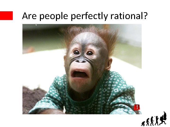 Are people perfectly rational? 