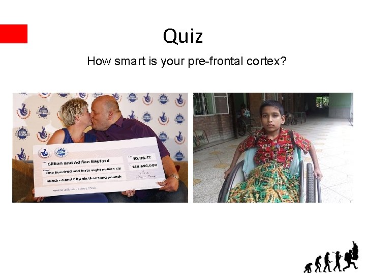 Quiz How smart is your pre-frontal cortex? 