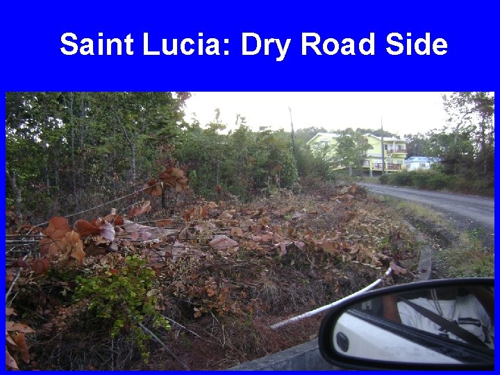 Saint Lucia: Dry Road Side 