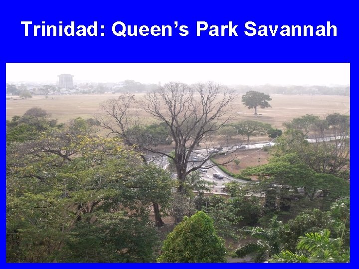 Trinidad: Queen’s Park Savannah 