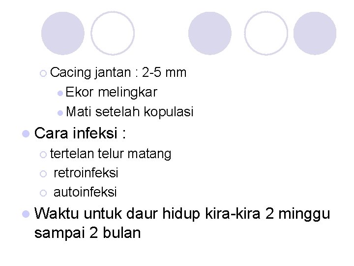 ¡ Cacing jantan : 2 -5 mm l Ekor melingkar l Mati setelah kopulasi