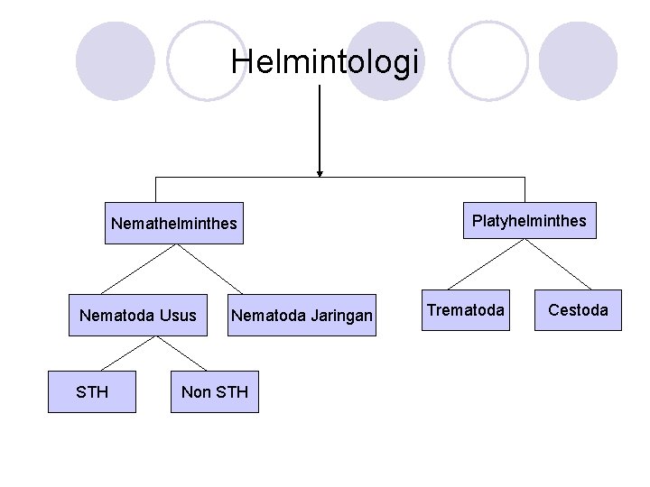 Helmintologi Nemathelminthes Nematoda Usus STH Nematoda Jaringan Non STH Platyhelminthes Trematoda Cestoda 