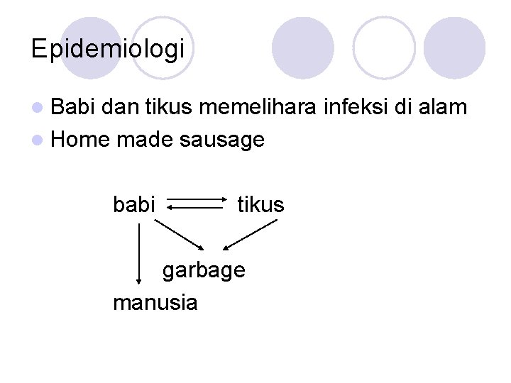 Epidemiologi l Babi dan tikus memelihara infeksi di alam l Home made sausage babi