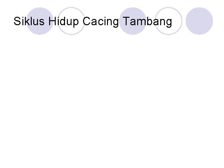 Siklus Hidup Cacing Tambang 