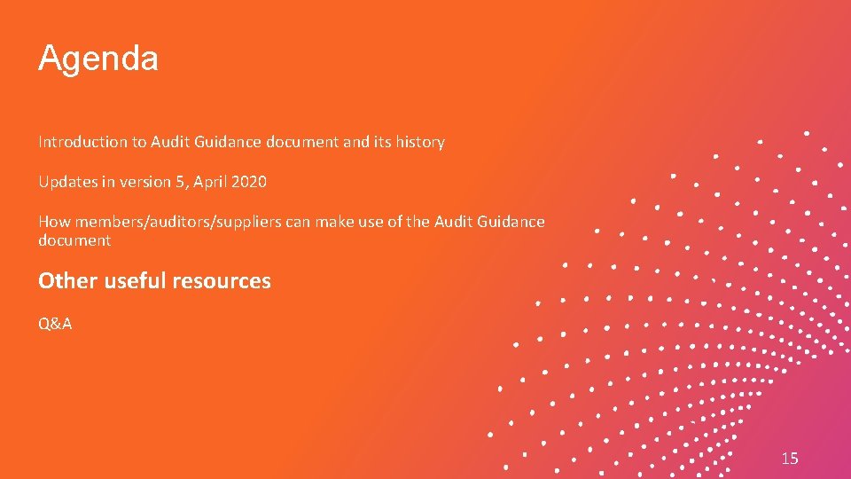 Agenda Introduction to Audit Guidance document and its history Updates in version 5, April