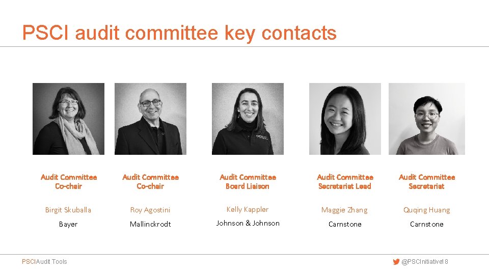 PSCI audit committee key contacts Audit Committee Co-chair Audit Committee Board Liaison Audit Committee