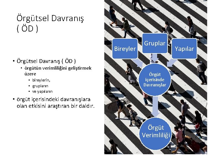 Örgütsel Davranış ( ÖD ) Bireyler Gruplar • Örgütsel Davranış ( ÖD ) •