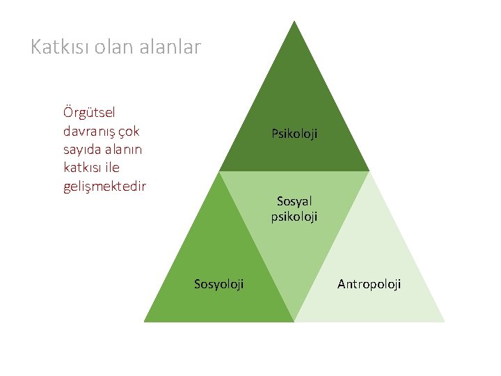 Katkısı olan alanlar Örgütsel davranış çok sayıda alanın katkısı ile gelişmektedir Psikoloji Sosyal psikoloji