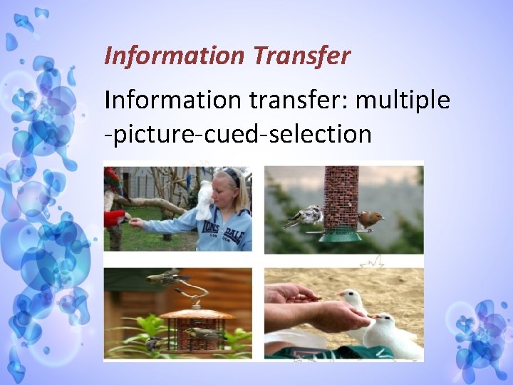 Information Transfer Information transfer: multiple -picture-cued-selection 