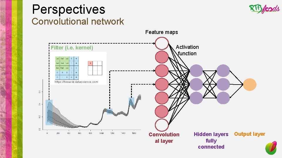 Perspectives Convolutional network Feature maps Filter (i. e. kernel) Activation function https: //towardsdatascience. com
