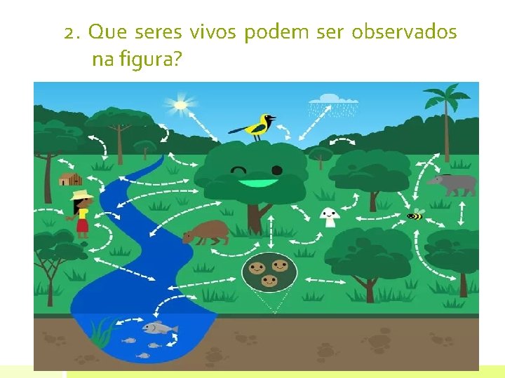 2. Que seres vivos podem ser observados na figura? 