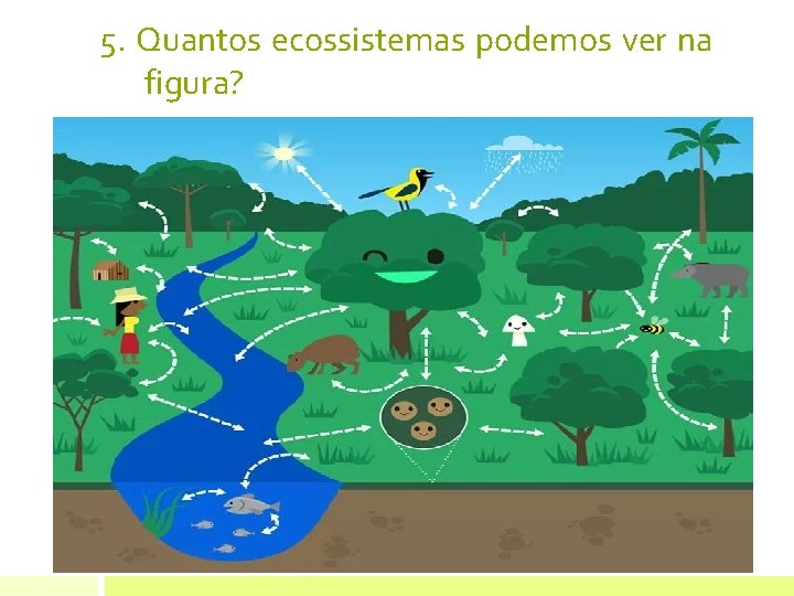 5. Quantos ecossistemas podemos ver na figura? 