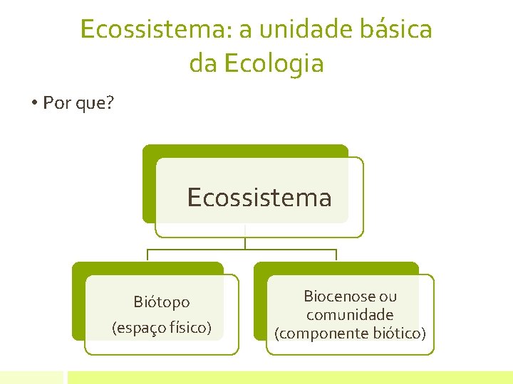 Ecossistema: a unidade básica da Ecologia • Por que? Ecossistema Biótopo (espaço físico) Biocenose