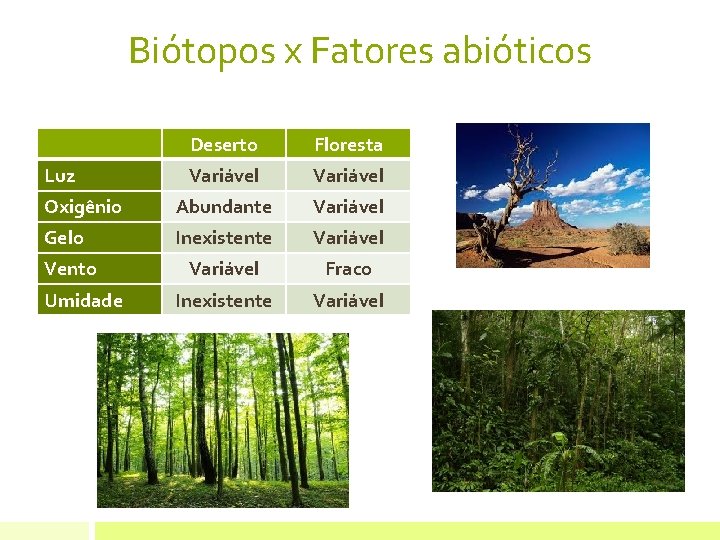 Biótopos x Fatores abióticos Deserto Floresta Variável Oxigênio Abundante Variável Gelo Inexistente Variável Fraco