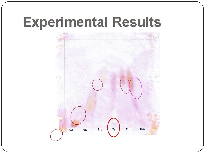 Experimental Results  Experimental Results