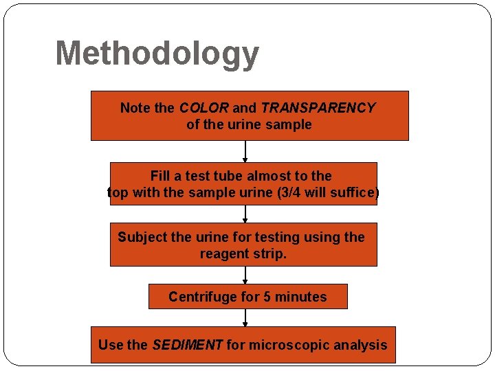 Methodology Note the COLOR and TRANSPARENCY of the urine sample Fill a test tube Methodology Note the COLOR and TRANSPARENCY of the urine sample Fill a test tube