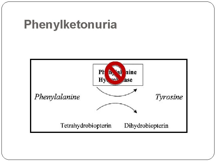 Phenylketonuria  Phenylketonuria