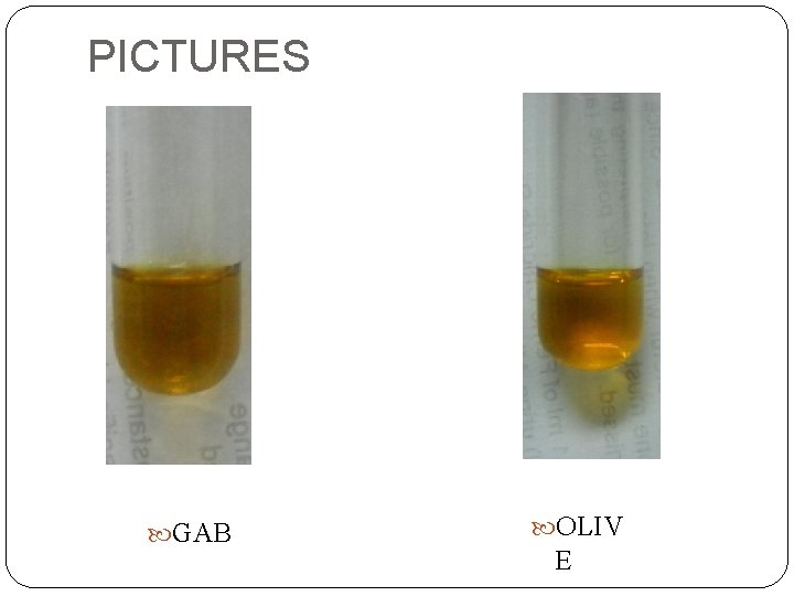 PICTURES GAB OLIV E  PICTURES GAB OLIV E