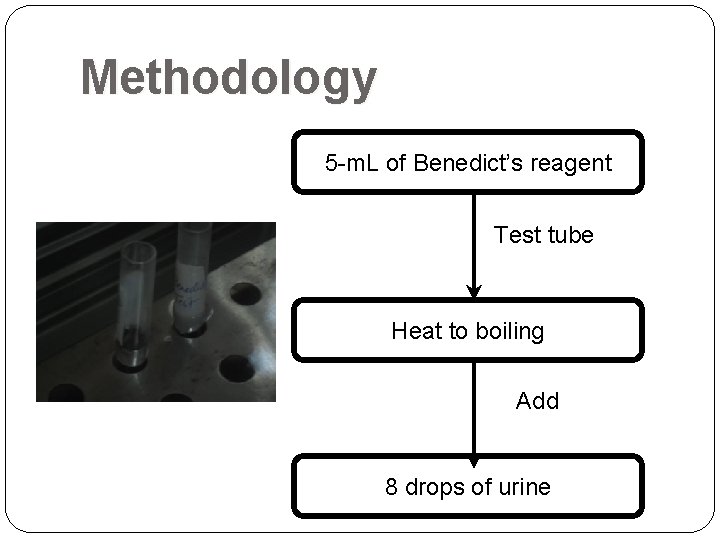 Methodology 5 -m. L of Benedict’s reagent Test tube Heat to boiling Add 8 Methodology 5 -m. L of Benedict’s reagent Test tube Heat to boiling Add 8