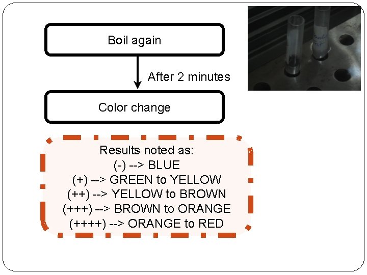 Boil again After 2 minutes Color change Results noted as: (-) --> BLUE (+) Boil again After 2 minutes Color change Results noted as: (-) --> BLUE (+)