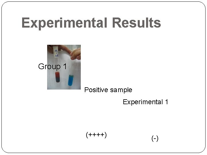 Experimental Results Group 1 Positive sample Experimental 1 (++++) (-)  Experimental Results Group 1 Positive sample Experimental 1 (++++) (-)