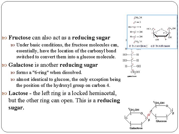 Fructose can also act as a reducing sugar Under basic conditions, the fructose  Fructose can also act as a reducing sugar Under basic conditions, the fructose