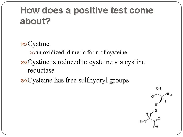 How does a positive test come about? Cystine an oxidized, dimeric form of cysteine How does a positive test come about? Cystine an oxidized, dimeric form of cysteine