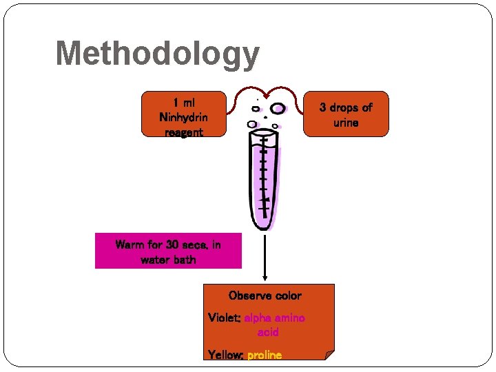 Methodology 1 ml Ninhydrin reagent 3 drops of urine Warm for 30 secs. in Methodology 1 ml Ninhydrin reagent 3 drops of urine Warm for 30 secs. in