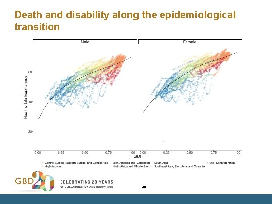 Death and disability along the epidemiological transition 29 