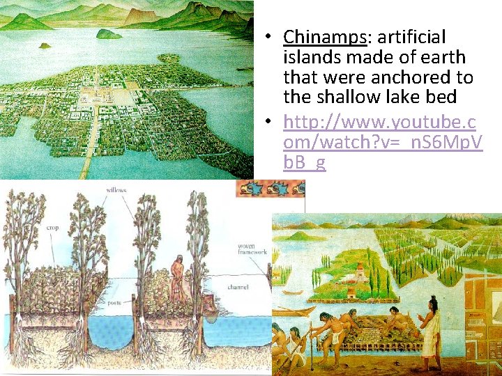  • Chinamps: artificial islands made of earth that were anchored to the shallow