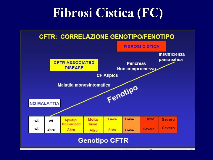 Fibrosi Cistica (FC) 