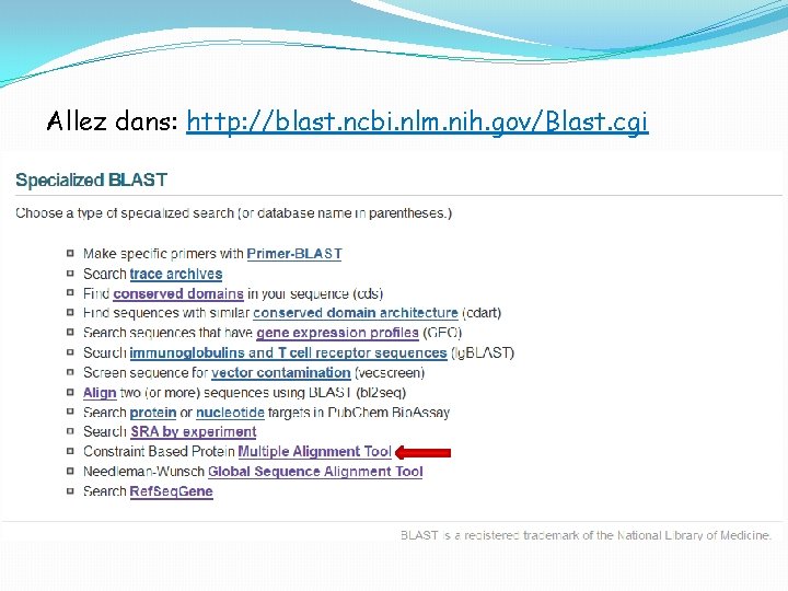 Allez dans: http: //blast. ncbi. nlm. nih. gov/Blast. cgi 