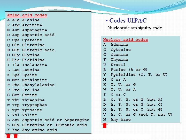 Nucleotide ambiguity code 