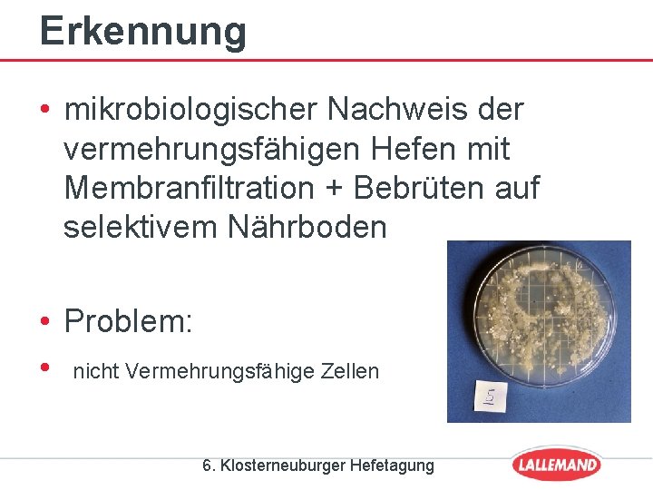 Erkennung • mikrobiologischer Nachweis der vermehrungsfähigen Hefen mit Membranfiltration + Bebrüten auf selektivem Nährboden